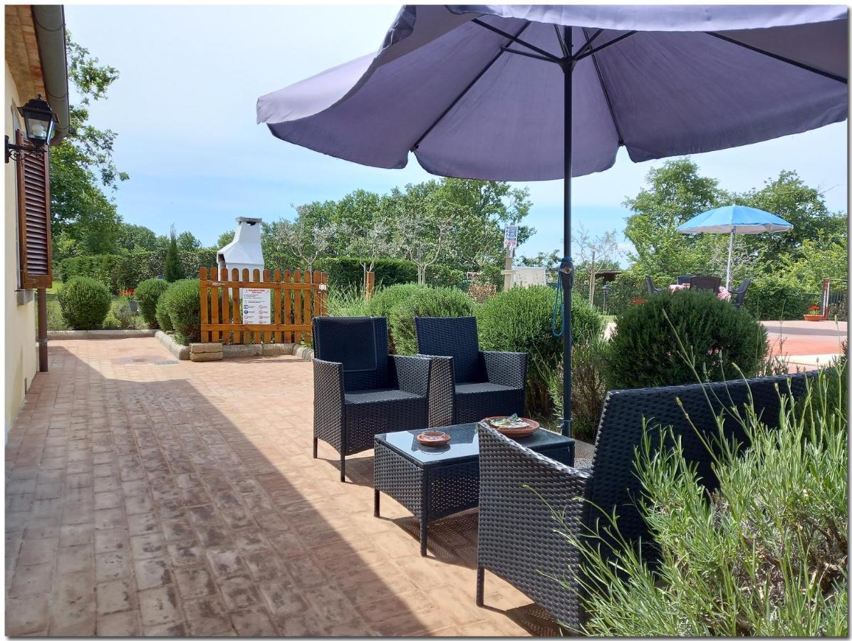 Villino Cortona - Casa Vacanze A Cortona Con Piscina Privata Wifi, Ac - Toscana - Nelle Vicinanze Perugia, Assisi, Montepulciano, Pienza, Siena Экстерьер фото
