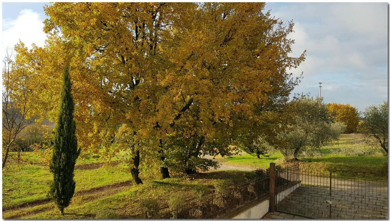 Villino Cortona - Casa Vacanze A Cortona Con Piscina Privata Wifi, Ac - Toscana - Nelle Vicinanze Perugia, Assisi, Montepulciano, Pienza, Siena Экстерьер фото