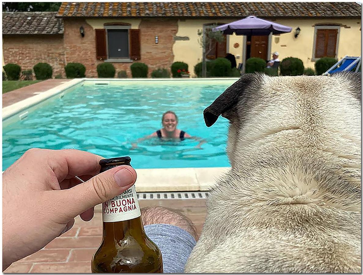 Villino Cortona - Casa Vacanze A Cortona Con Piscina Privata Wifi, Ac - Toscana - Nelle Vicinanze Perugia, Assisi, Montepulciano, Pienza, Siena Экстерьер фото